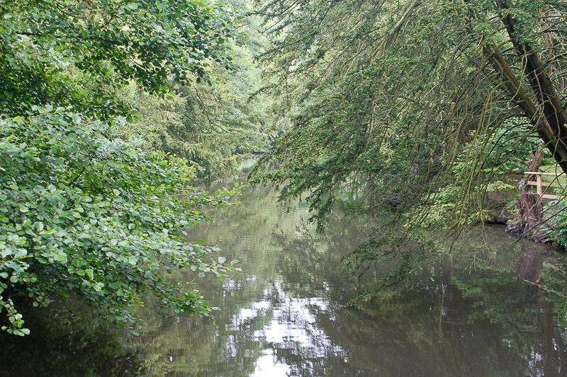 The Lake The Lake